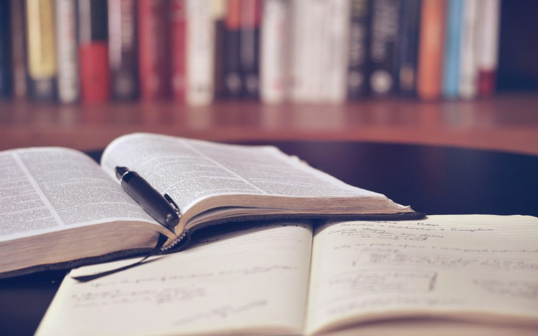 Cursos de especialización de conversación en inglés de Idiomas Watson, ¡conócelos!
